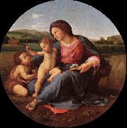 RAFFAELLO Sanzio The Alba Madonna oil